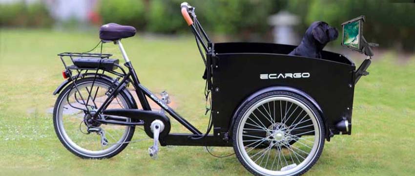 ECRONs RAM Mount Shop  Smartphone und Tablet Halterungen für Dreiräder,  Lastenräder, Fahrrad Kuriere